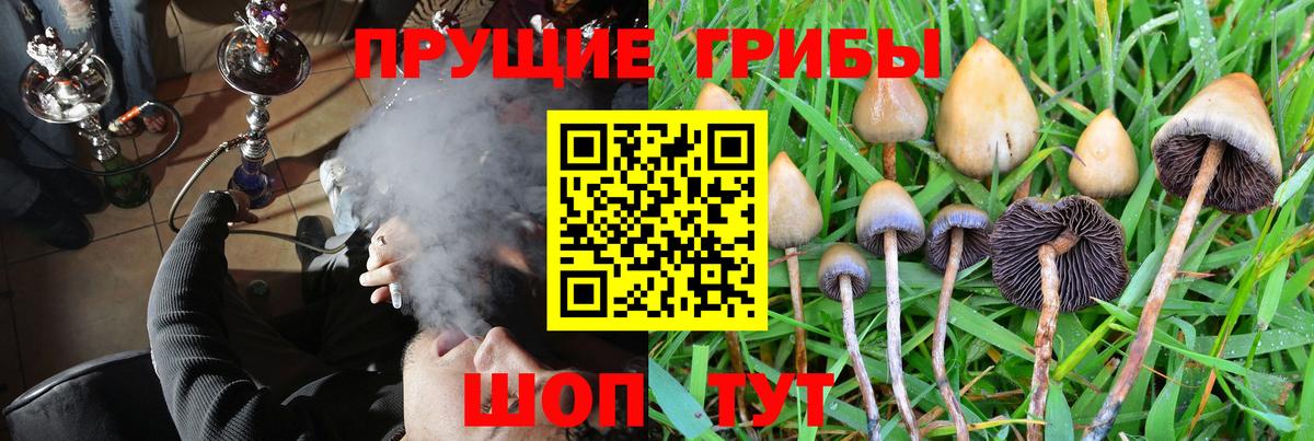 Псилоцибиновые грибы MAGIC MUSHROOMS Клин